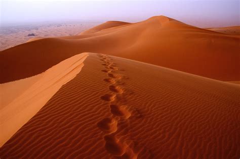 sahara sand